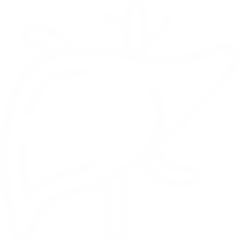 Liver / Kidney Disease 